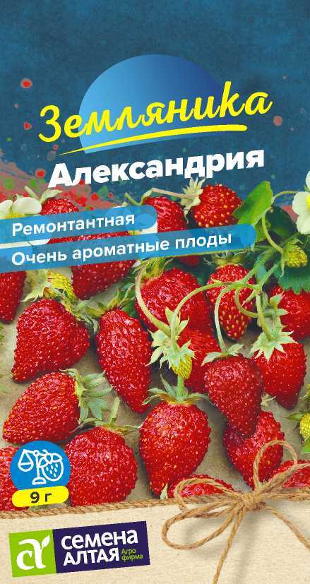 Ягода Земляника Александрия ремонтантная/Сем Алт/цп 0,05 гр. Ягода Земляника Александрия ремонтантная/Сем Алт/цп 0,05 гр.