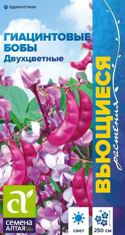 Цветы Гиацинтовые бобы Двухцветные/Сем Алт/цп 1 гр. Вьющиеся растения Цветы Гиацинтовые бобы Двухцветные/Сем Алт/цп 1 гр. Вьющиеся растения