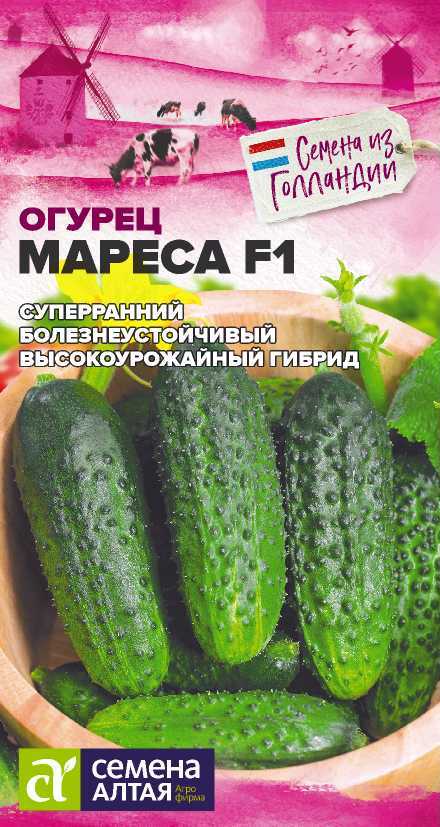 Огурец Мареса F1/Сем Алт/цп 5 шт. Seminis (Голландские Семена) Огурец Мареса F1/Сем Алт/цп 5 шт. Seminis (Голландские Семена)