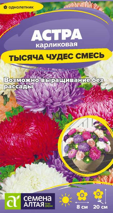 Цветы Астра Тысяча чудес смесь карликовая/Сем Алт/цп 0,2 гр. Цветы Астра Тысяча чудес смесь карликовая/Сем Алт/цп 0,2 гр.