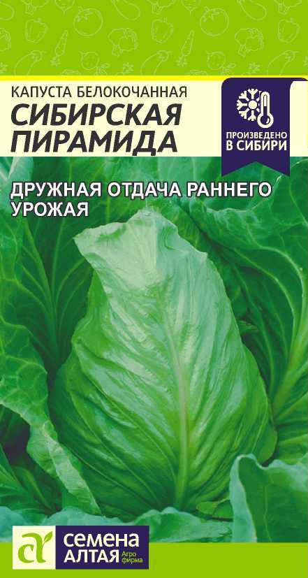 Капуста