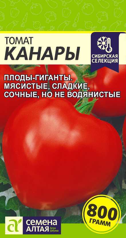 Томат