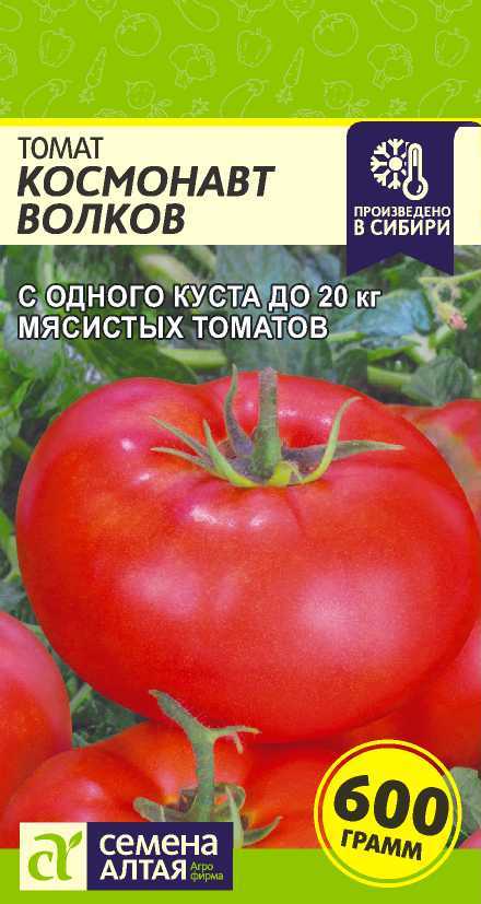 Йетина Мать Томат Фото Йетина Мать Томат Фото
