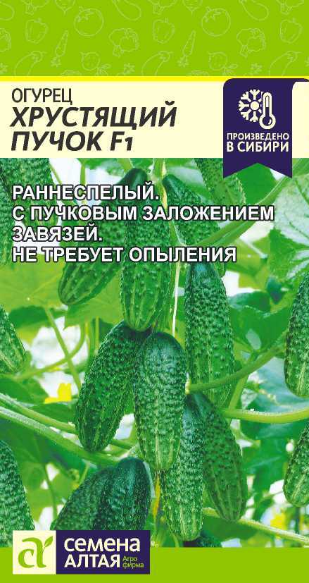Огурец Хрустящий Пучок F1/Сем Алт/цп 6 шт. Огурец Хрустящий Пучок F1/Сем Алт/цп 6 шт.