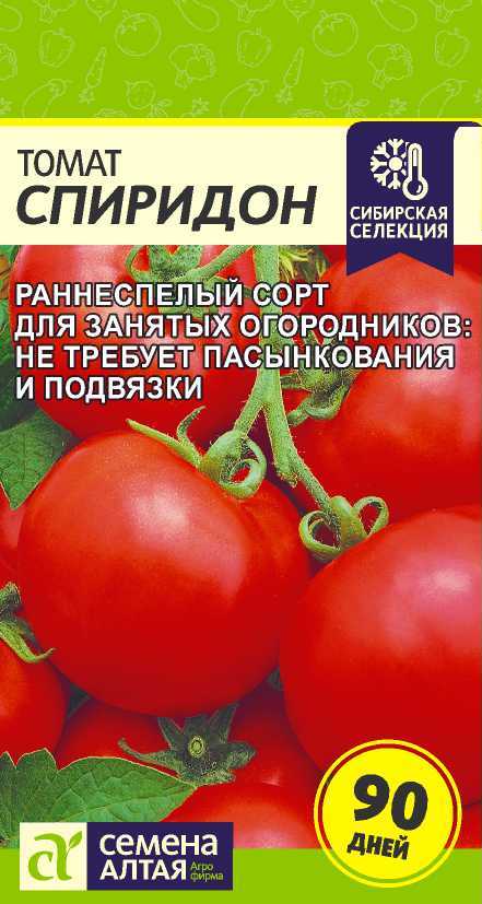 Томат