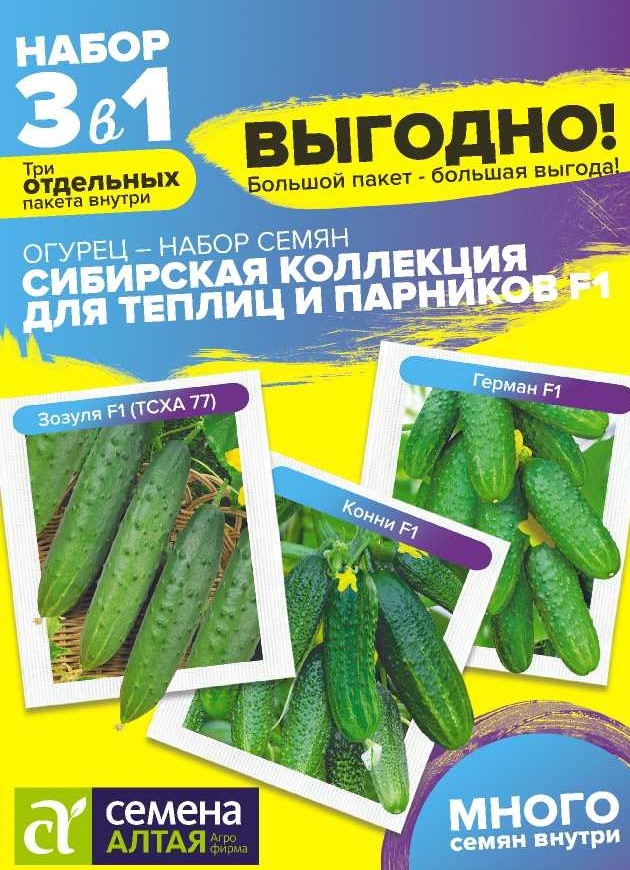 Огурец Сибирская Коллекция Для Теплиц и Парников F1/Сем Алт/цп 20 шт. БОЛЬШОЙ ПАКЕТ! НОВИНКА! Огурец Сибирская Коллекция Для Теплиц и Парников F1/Сем Алт/цп 20 шт. БОЛЬШОЙ ПАКЕТ! НОВИНКА!
