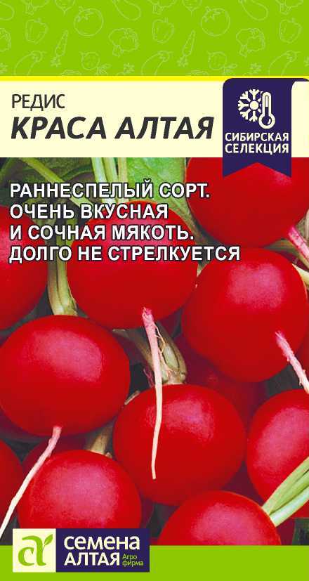 Редис Краса Алтая/Сем Алт/цп 2 гр. Сибирская Селекция! Редис Краса Алтая/Сем Алт/цп 2 гр. Сибирская Селекция!