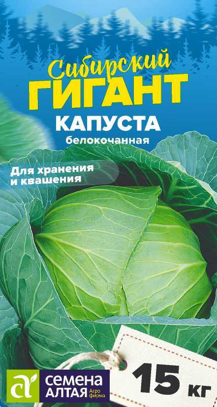 Капуста Сибирский Гигант/Сем Алт/цп 0,5 гр. СЕРИЯ СИБИРСКИЕ ГИГАНТЫ! Капуста Сибирский Гигант/Сем Алт/цп 0,5 гр. СЕРИЯ СИБИРСКИЕ ГИГАНТЫ!