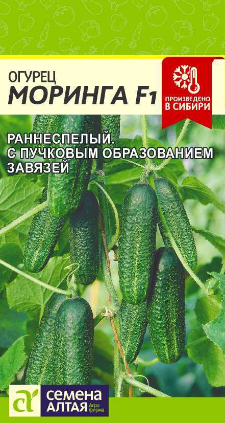 Огурец Моринга F1/Сем Алт/цп 0,3 гр. Огурец Моринга F1/Сем Алт/цп 0,3 гр.