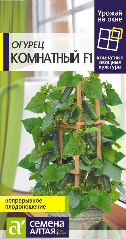 Огурец Комнатный/Сем Алт/цп 5 шт. УРОЖАЙ НА ОКНЕ! Огурец Комнатный/Сем Алт/цп 5 шт. УРОЖАЙ НА ОКНЕ!