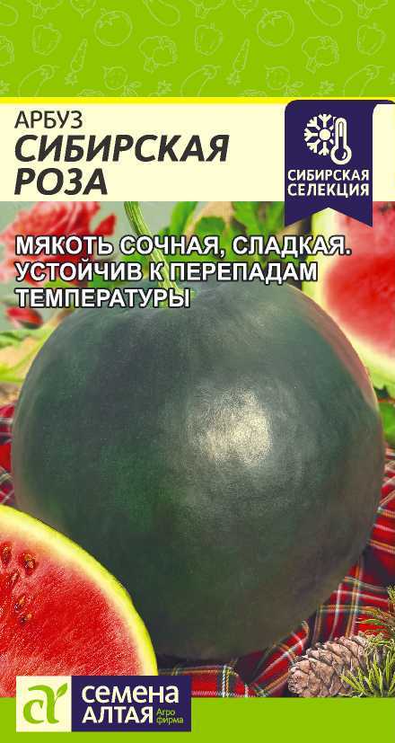 Арбуз Сибирская Роза/Сем Алт/цп 1 гр. Арбуз Сибирская Роза/Сем Алт/цп 1 гр.