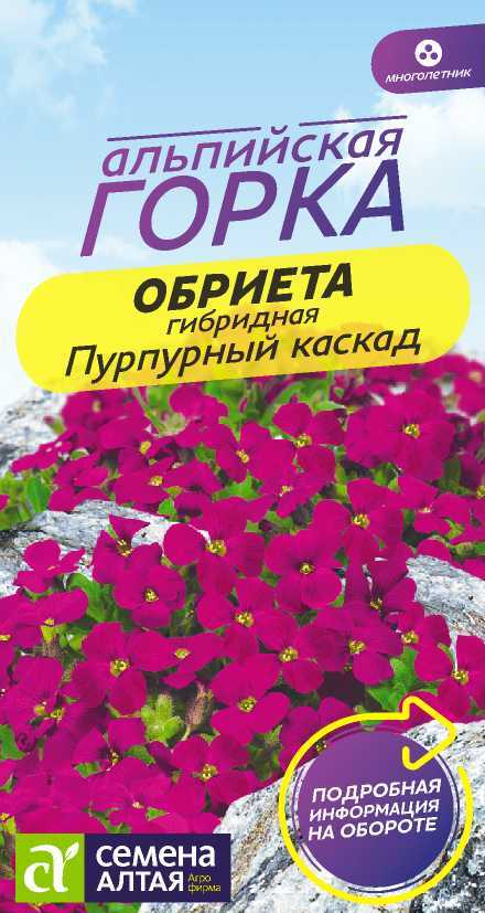 Цветы Обриета Пурпурный каскад/Сем Алт/цп 0,05 гр. многолетник Альпийская горка НОВИНКА