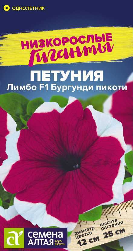 Цветы Петуния Лимбо F1 Бургунди пикоти/Сем Алт/цп 10 шт. Низкорослые гиганты НОВИНКА Цветы Петуния Лимбо F1 Бургунди пикоти/Сем Алт/цп 10 шт. Низкорослые гиганты НОВИНКА