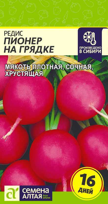 Редис Пионер на Грядке (16 дней)/Сем Алт/цп 1 гр. Редис Пионер на Грядке (16 дней)/Сем Алт/цп 1 гр.