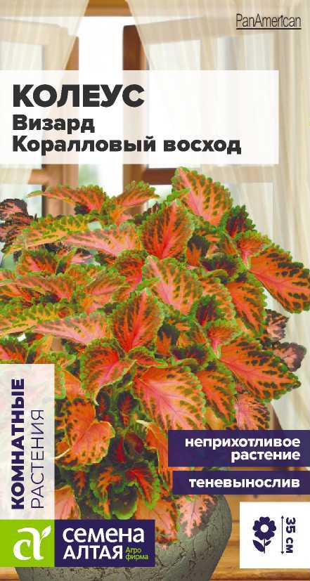 Цветы Колеус Визард Коралловый Восход/Сем Алт/цп 5 шт. Цветы Колеус Визард Коралловый Восход/Сем Алт/цп 5 шт.