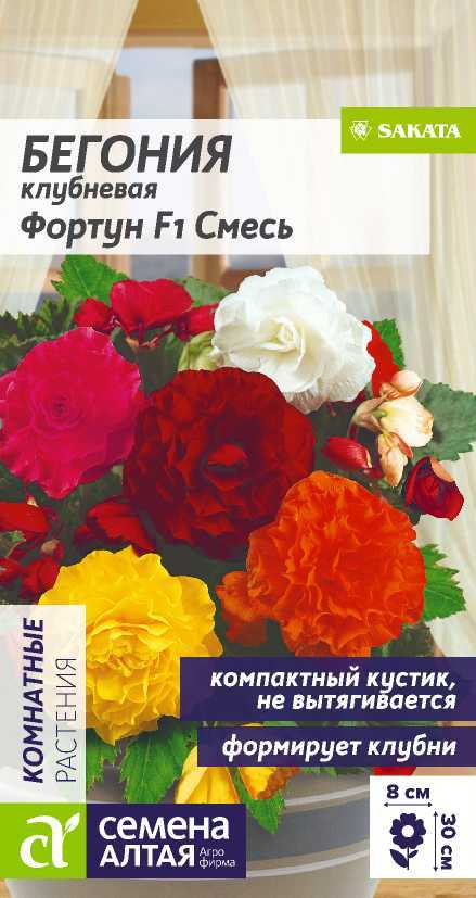 Цветы Бегония Фортун F1 Смесь окрасок клубневая/Сем Алт/цп 4 шт. Цветы Бегония Фортун F1 Смесь окрасок клубневая/Сем Алт/цп 4 шт.