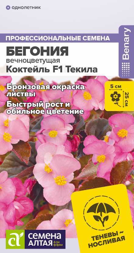 Цветы Бегония Коктейль F1 Текила вечноцветущая/Сем Алт/цп 5 шт. НОВИНКА Цветы Бегония Коктейль F1 Текила вечноцветущая/Сем Алт/цп 5 шт. НОВИНКА