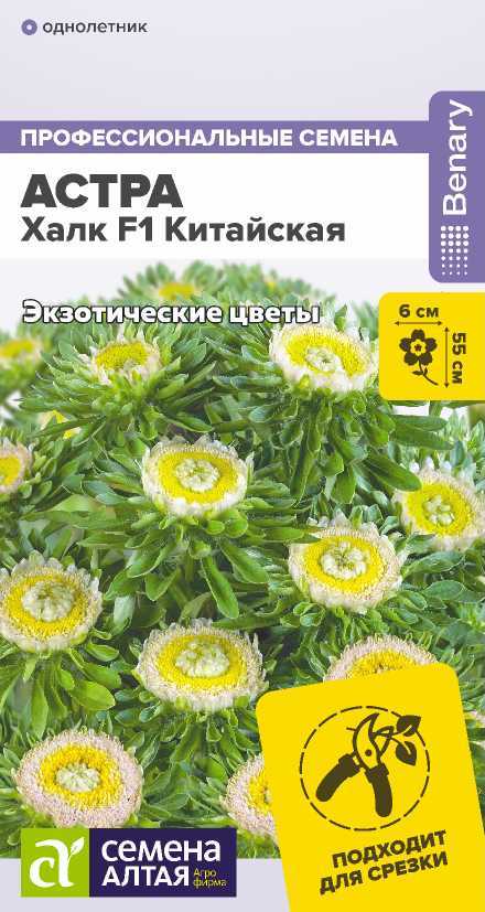 Цветы Астра Халк F1 китайская/Сем Алт/цп 5 шт. НОВИНКА Цветы Астра Халк F1 китайская/Сем Алт/цп 5 шт. НОВИНКА