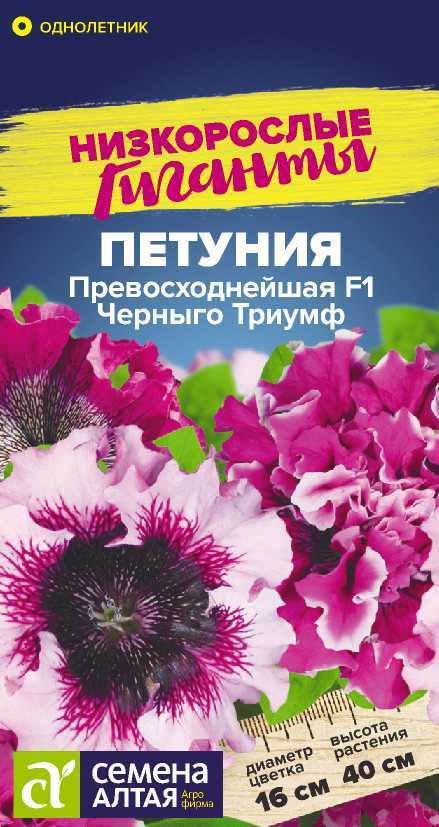Цветы Петуния Превосходнейшая F1 Черныго Триумф/Сем Алт/цп 7 шт. Низкорослые гиганты Цветы Петуния Превосходнейшая F1 Черныго Триумф/Сем Алт/цп 7 шт. Низкорослые гиганты
