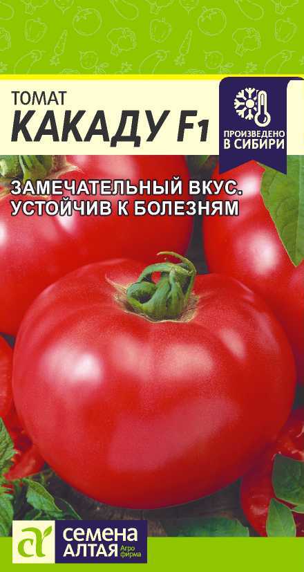 Томат