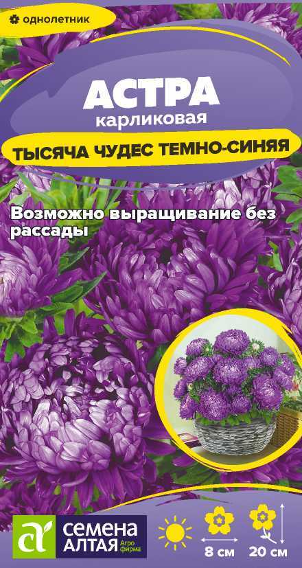 Цветы Астра Тысяча чудес темно-синяя карликовая/Сем Алт/цп 0,15 гр. Цветы Астра Тысяча чудес темно-синяя карликовая/Сем Алт/цп 0,15 гр.