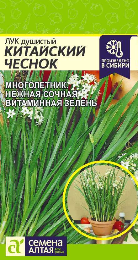Лук Душистый Китайский Чеснок/Сем Алт/цп 0,3 гр Лук Душистый Китайский Чеснок/Сем Алт/цп 0,3 гр