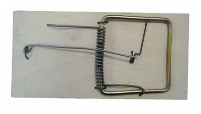 ��������� ����������/�������/070607