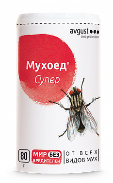 ������ ����� 80 ��. (1/48) /������/