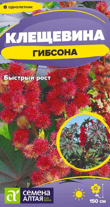 Цветы Клещевина Гибсона/Сем Алт/цп 3 шт. Цветы Клещевина Гибсона/Сем Алт/цп 3 шт.