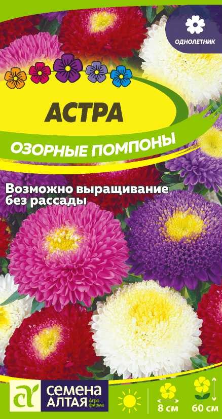 Цветы Астра Озорные Помпоны/Сем Алт/цп 0,3 гр.