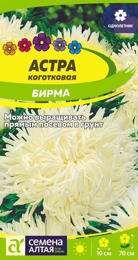 Цветы Астра Бирма коготковая/Сем Алт/цп 0,2 гр. Цветы Астра Бирма коготковая/Сем Алт/цп 0,2 гр.