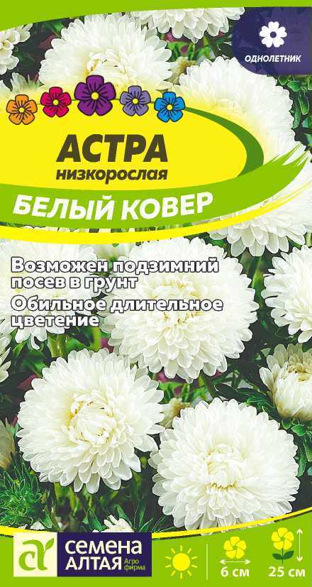 Цветы Астра Белый Ковер низкорослая/Сем Алт/цп 0,2 гр.