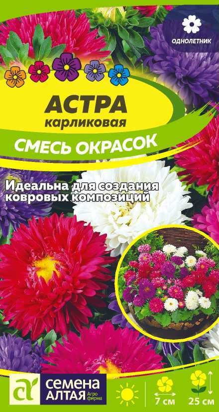 Цветы Астра Карликовая смесь окрасок/Сем Алт/цп 0,3 гр.