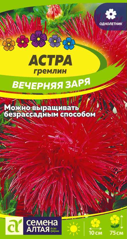 Астра гремлин Вечерняя Заря/Сем Алт/цп 0,2 гр. Астра гремлин Вечерняя Заря/Сем Алт/цп 0,2 гр.