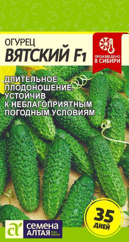 Огурец Вятский F1/Сем Алт/цп 6 шт. Огурец Вятский F1/Сем Алт/цп 6 шт.