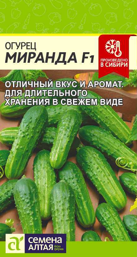 Огурец Миранда F1/Сем Алт/цп 6 шт. Огурец Миранда F1/Сем Алт/цп 6 шт.