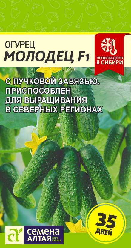 Огурец Молодец F1/Сем Алт/цп 6 шт. Огурец Молодец F1/Сем Алт/цп 6 шт.