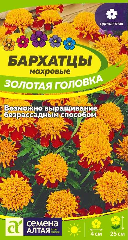 Бархатцы