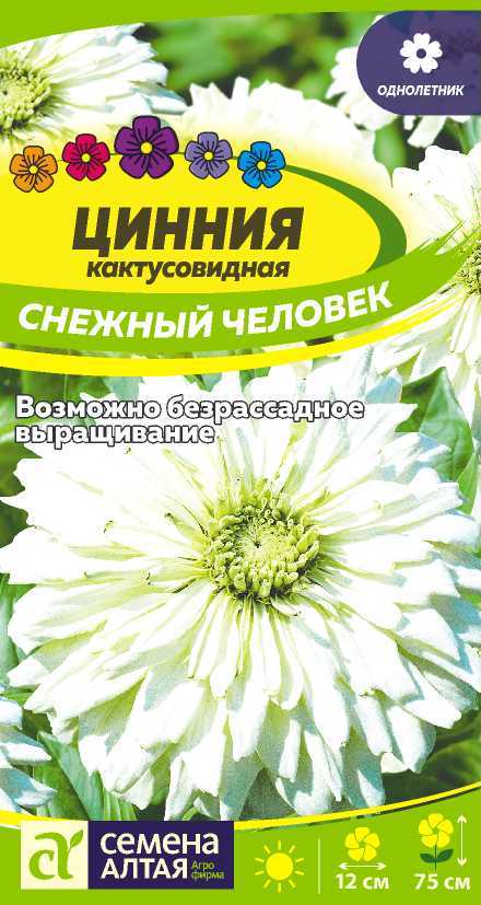 Цинния
