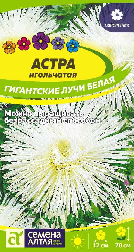 Цветы Астра Гигантские лучи Белая/Сем Алт/цп 0,2 гр.