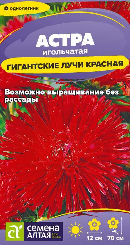 Цветы Астра Гигантские лучи Красная/Сем Алт/цп 0,2 гр. Цветы Астра Гигантские лучи Красная/Сем Алт/цп 0,2 гр.