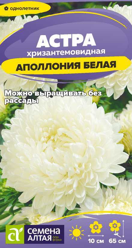 Цветы Астра Аполлония Белая/Сем Алт/цп 0,2 гр. Цветы Астра Аполлония Белая/Сем Алт/цп 0,2 гр.