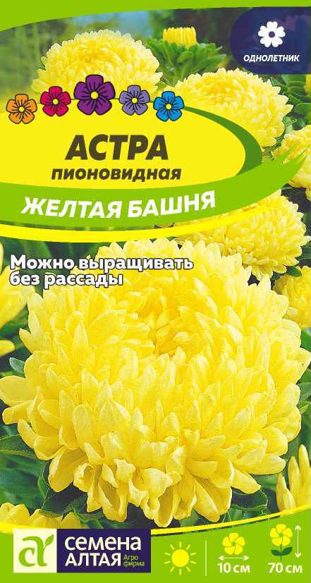 Цветы Астра Желтая Башня/Сем Алт/цп 0,2 гр. Цветы Астра Желтая Башня/Сем Алт/цп 0,2 гр.