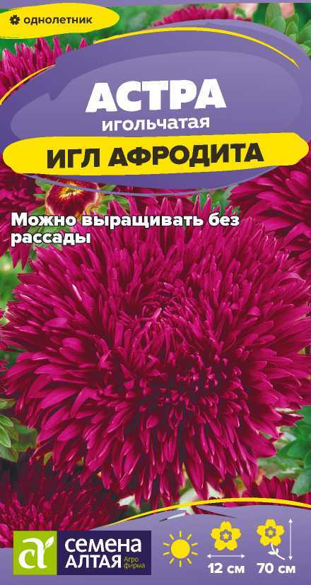 Цветы Астра Игл Афродита/Сем Алт/цп 0,2 гр. Цветы Астра Игл Афродита/Сем Алт/цп 0,2 гр.