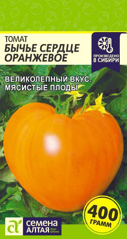 Йетина Мать Томат Фото Йетина Мать Томат Фото