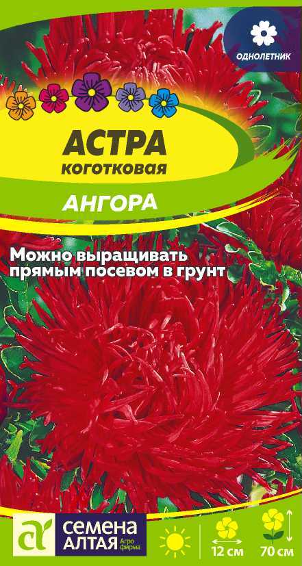 Цветы Астра Ангора коготковая/Сем Алт/цп 0,2 гр.