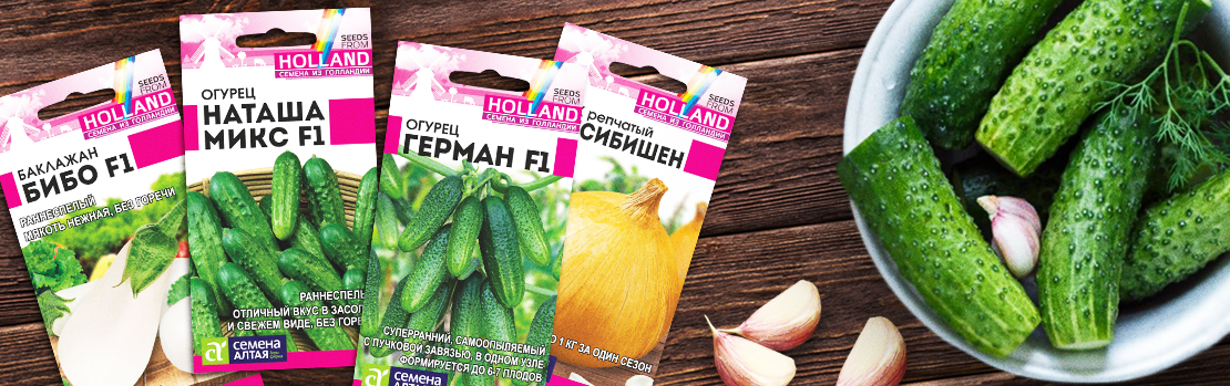 Голландия