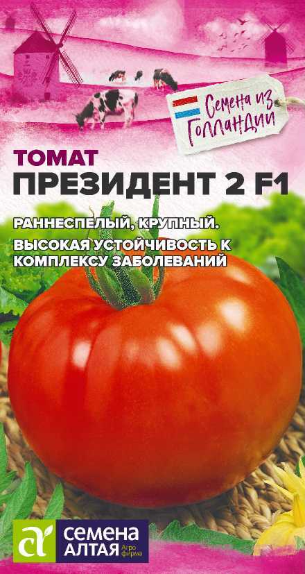 Томат Президент 2 Отзывы Фото